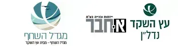 מגדל השחף