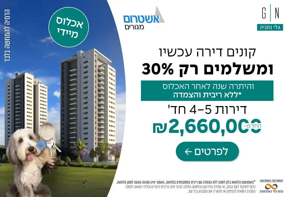 הצעות מיוחדות