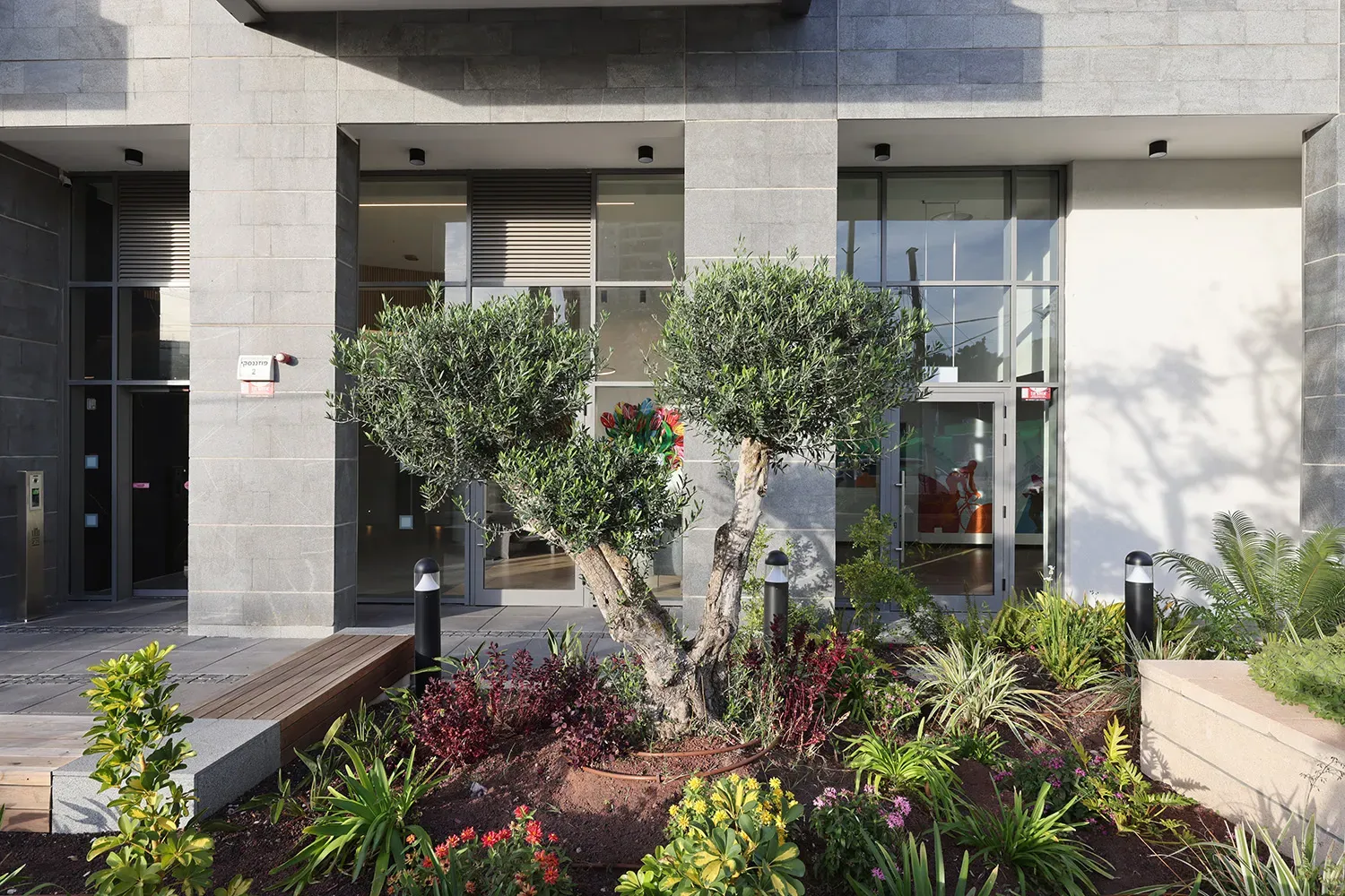 gallery image 9