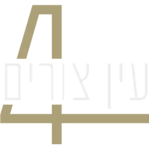 עין צורים 4
