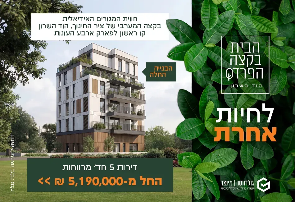 הצעות מיוחדות
