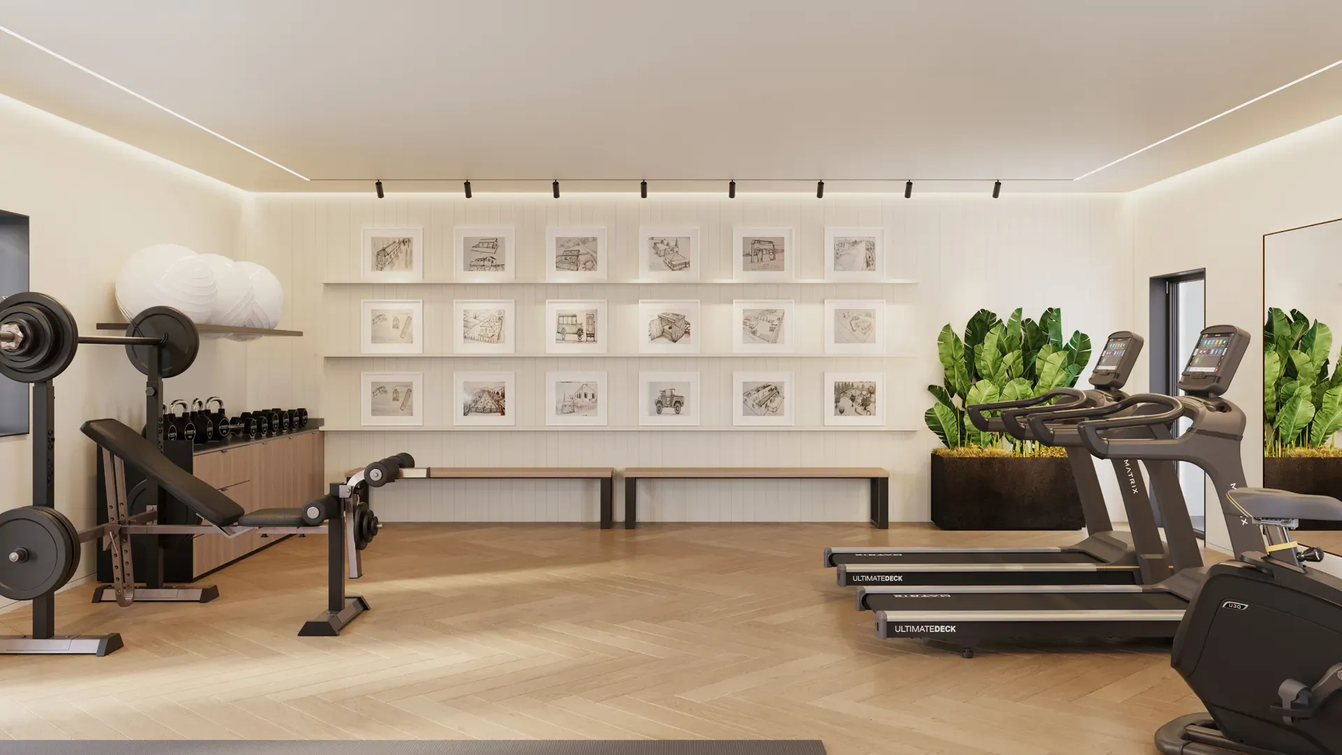 gallery image 8