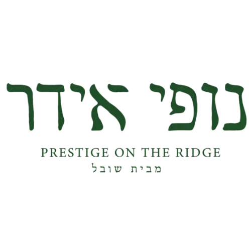 אידר 39 חיפה